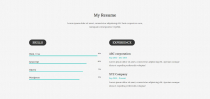 Precila - Personal Portfolio HTML Template Screenshot 1