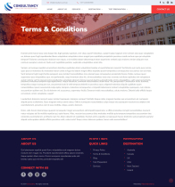 Consultancy - HTML Template Screenshot 22