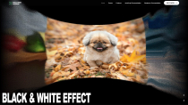 Noise Slider Carousel JavaScript Plugin Screenshot 1